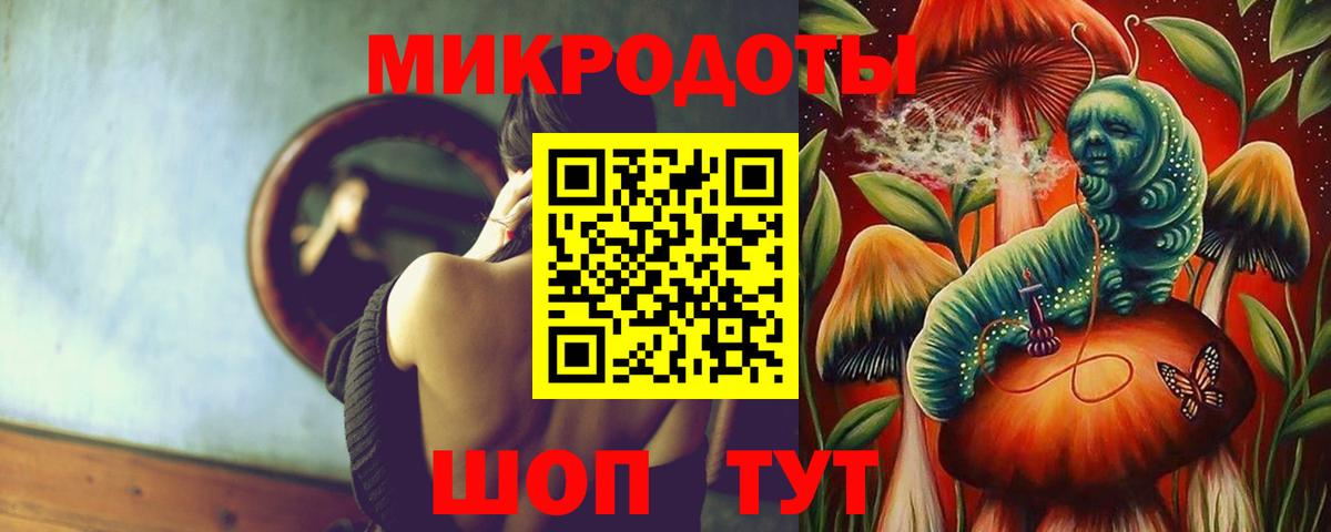 Галлюциногенные грибы Cubensis Сегежа