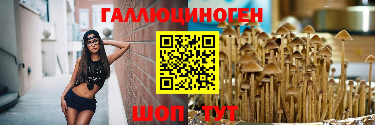 Сегежа  Галлюциногенные грибы Magic Shrooms  Галлюциногенные грибы Magic Shrooms  Вход с VPN 
